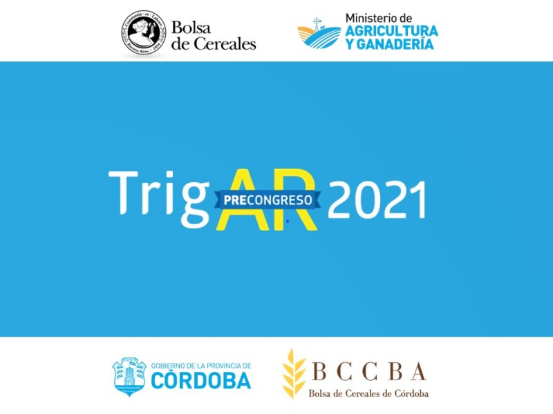 PERSPECTIVES ON CEREAL&nbsp;CONSUMPTION